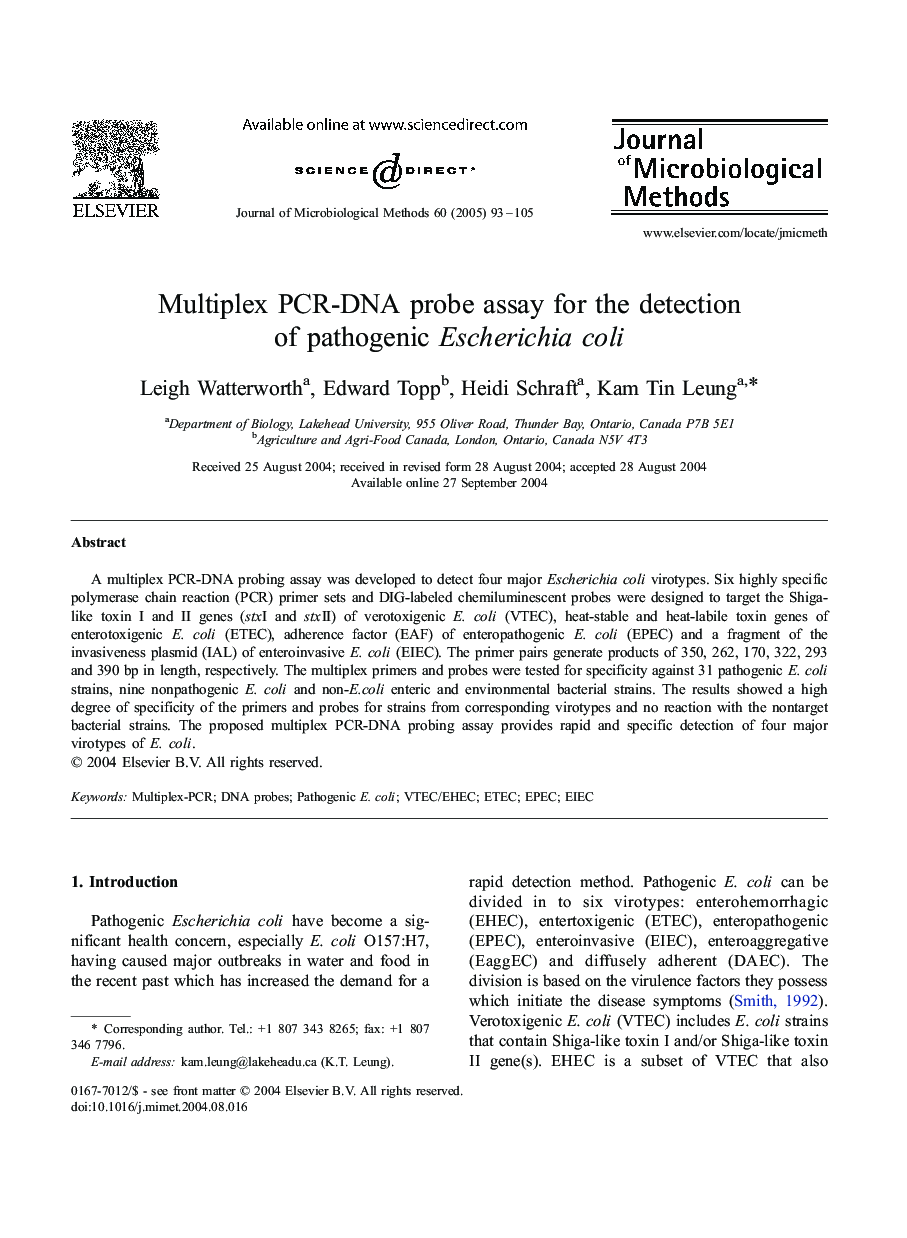 Multiplex PCR-DNA probe assay for the detection of pathogenic Escherichia coli