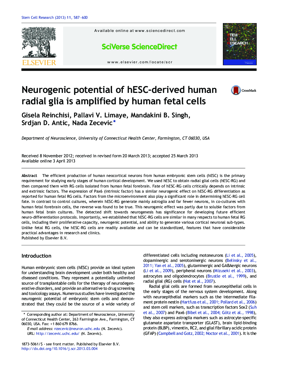 Neurogenic potential of hESC-derived human radial glia is amplified by human fetal cells