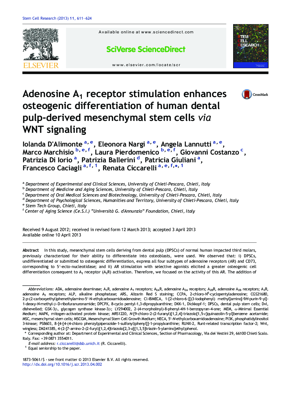 Adenosine A1 receptor stimulation enhances osteogenic differentiation of human dental pulp-derived mesenchymal stem cells via WNT signaling