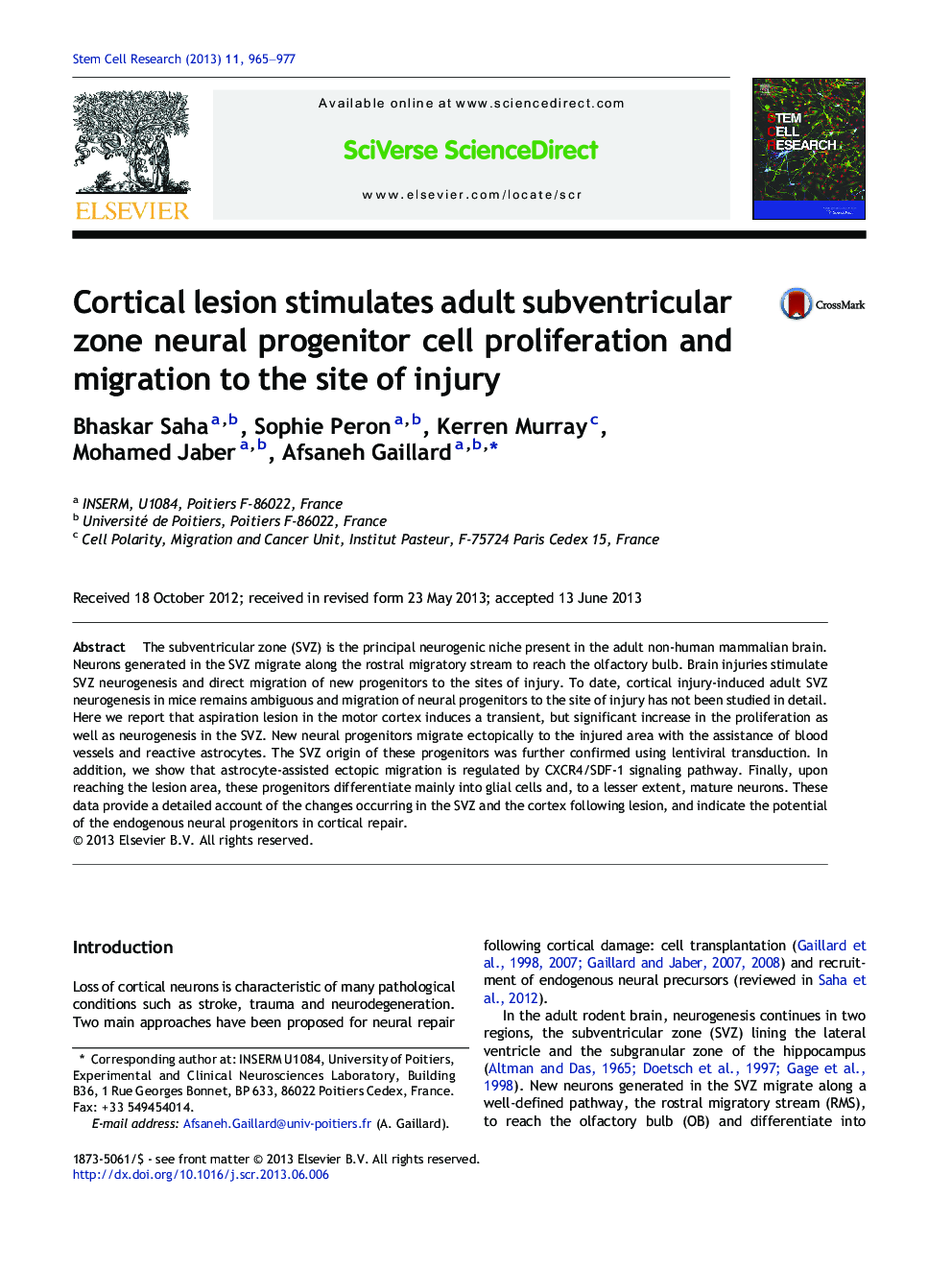 Cortical lesion stimulates adult subventricular zone neural progenitor cell proliferation and migration to the site of injury