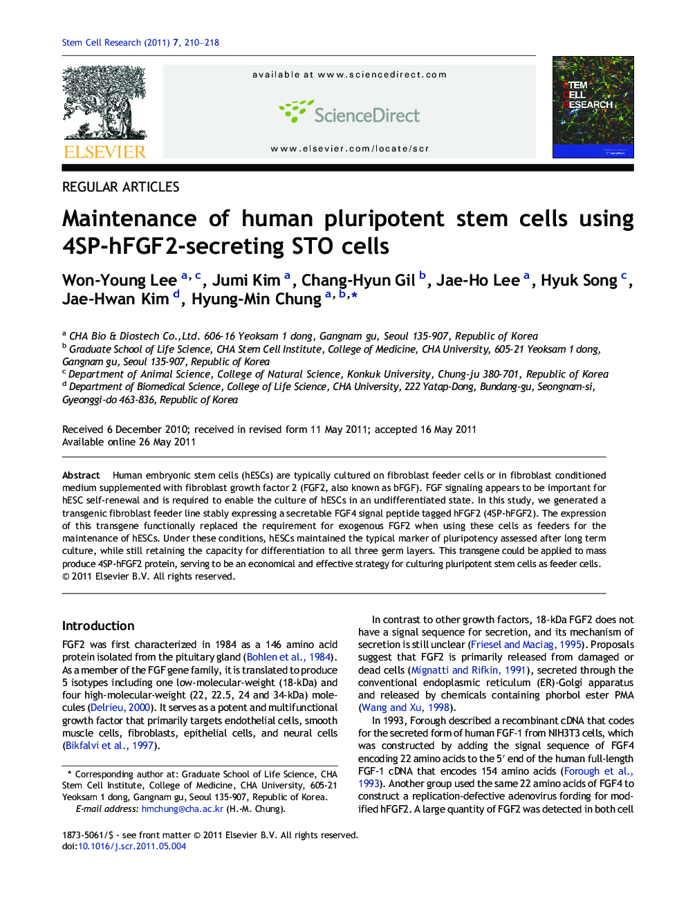 Maintenance of human pluripotent stem cells using 4SP-hFGF2-secreting STO cells
