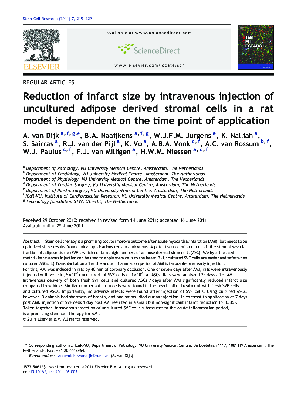 Reduction of infarct size by intravenous injection of uncultured adipose derived stromal cells in a rat model is dependent on the time point of application