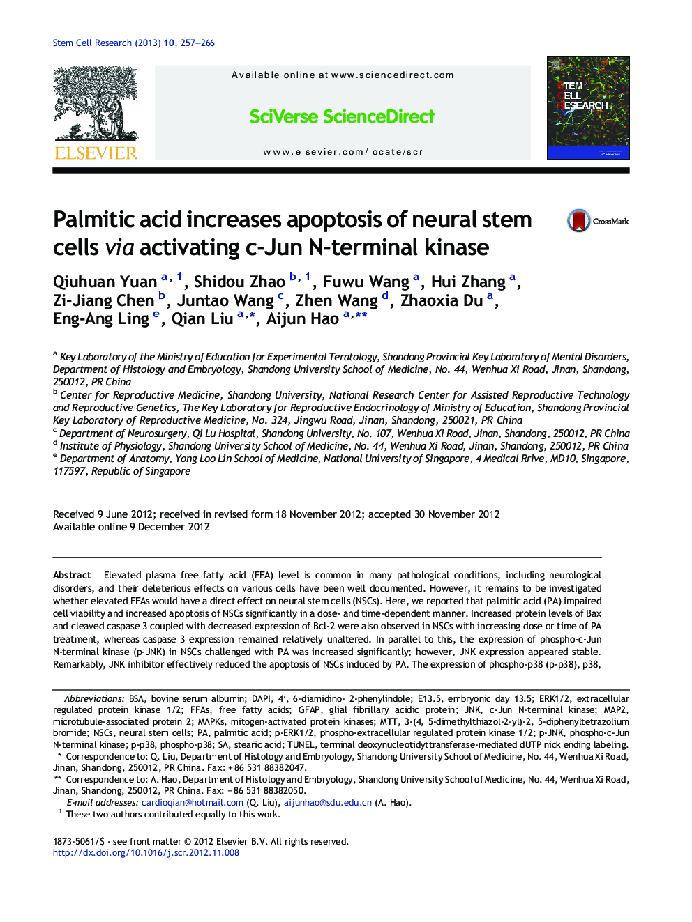 Palmitic acid increases apoptosis of neural stem cells via activating c-Jun N-terminal kinase
