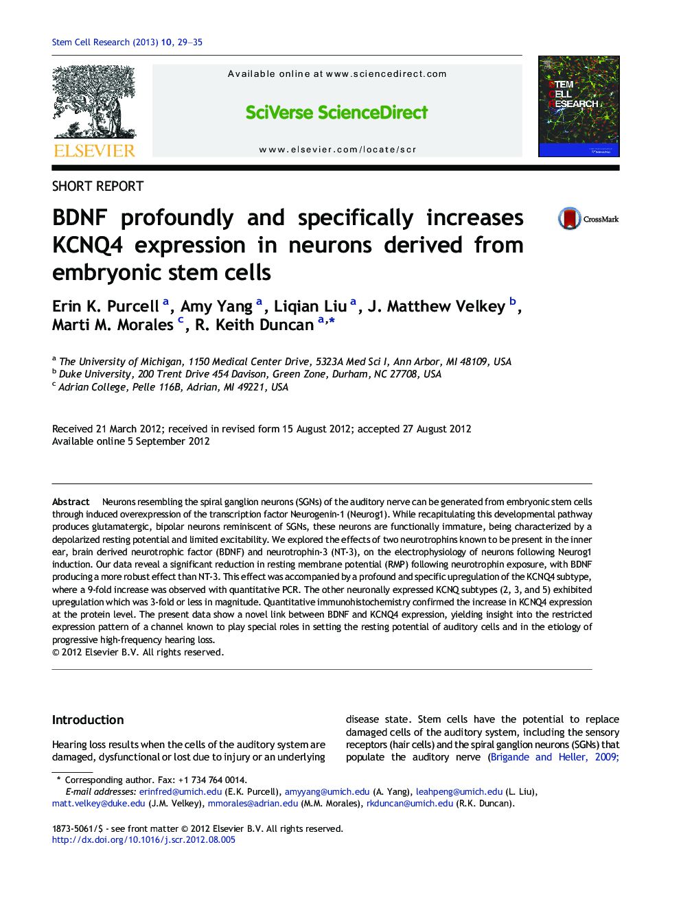 BDNF profoundly and specifically increases KCNQ4 expression in neurons derived from embryonic stem cells