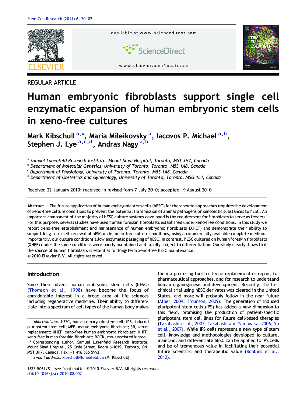 Human embryonic fibroblasts support single cell enzymatic expansion of human embryonic stem cells in xeno-free cultures