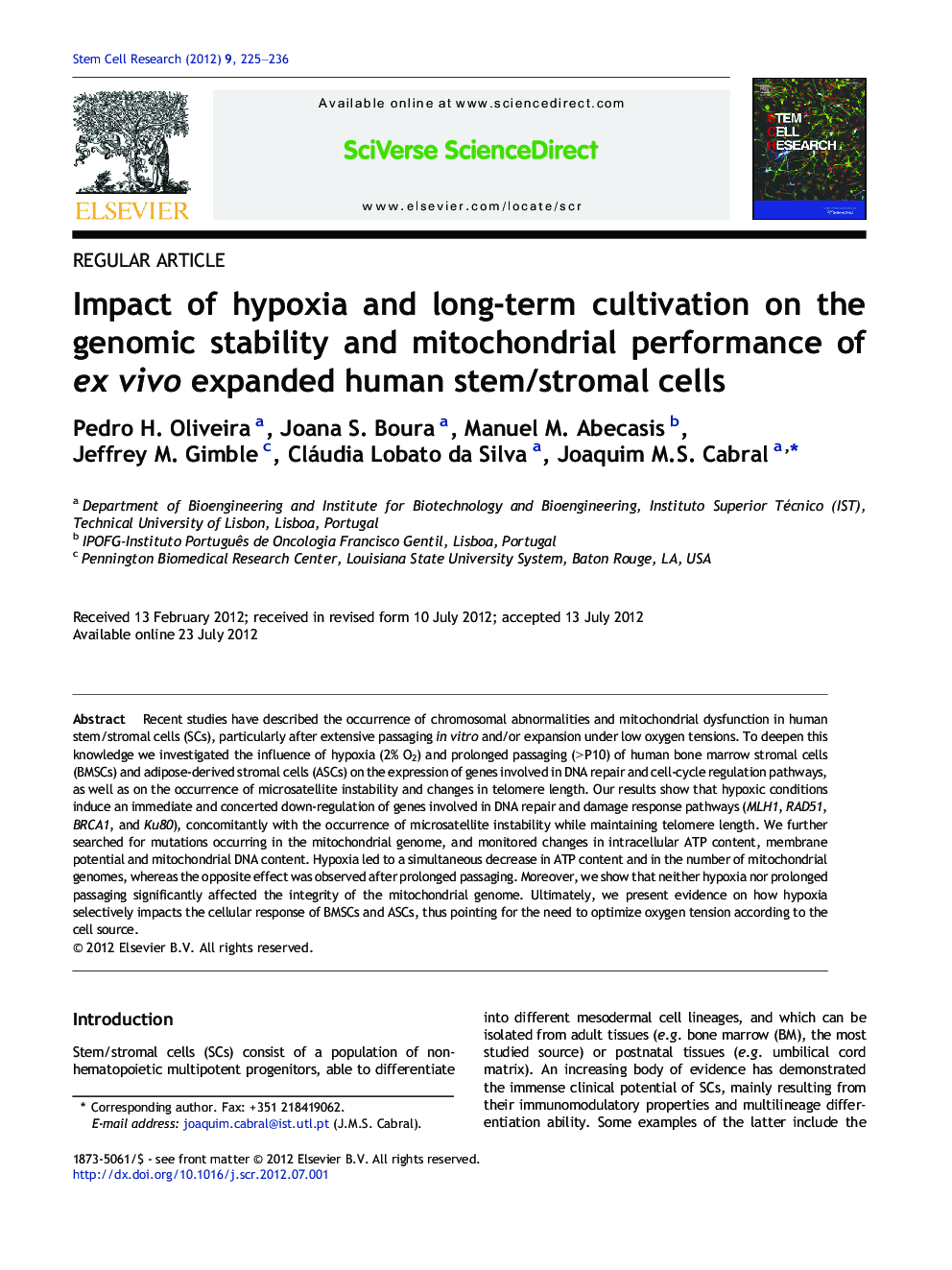 Impact of hypoxia and long-term cultivation on the genomic stability and mitochondrial performance of ex vivo expanded human stem/stromal cells