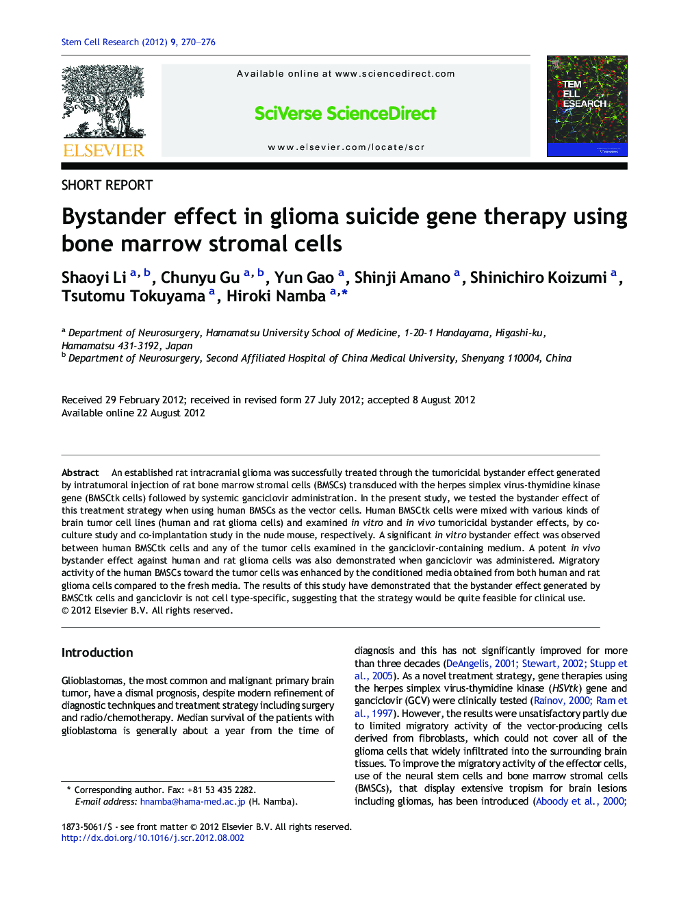 Bystander effect in glioma suicide gene therapy using bone marrow stromal cells