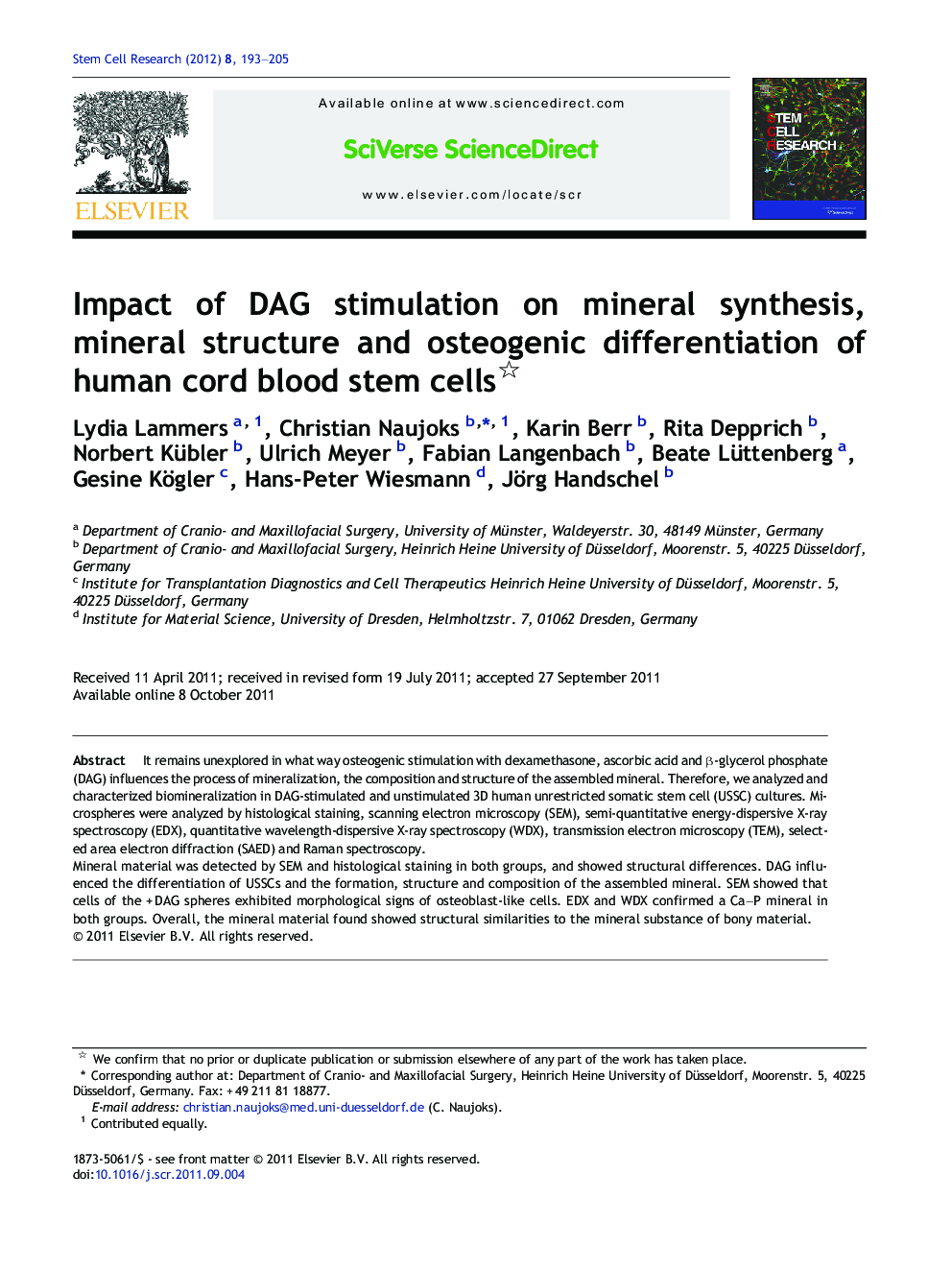 Impact of DAG stimulation on mineral synthesis, mineral structure and osteogenic differentiation of human cord blood stem cells