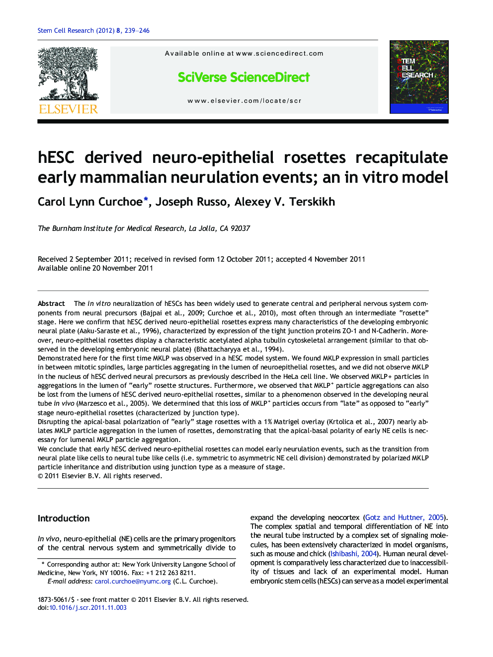 hESC derived neuro-epithelial rosettes recapitulate early mammalian neurulation events; an in vitro model