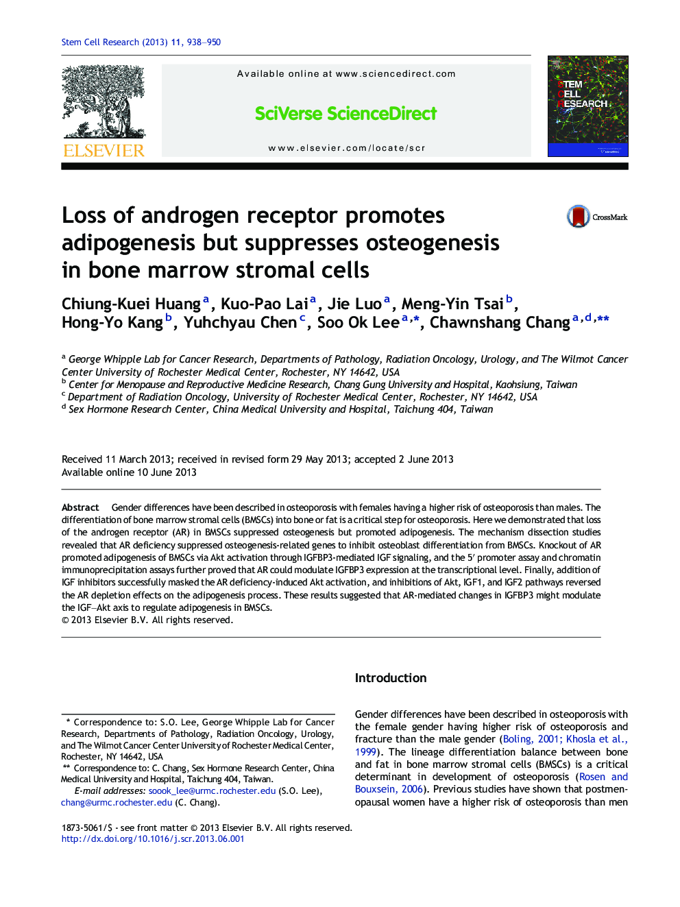 Loss of androgen receptor promotes adipogenesis but suppresses osteogenesis in bone marrow stromal cells