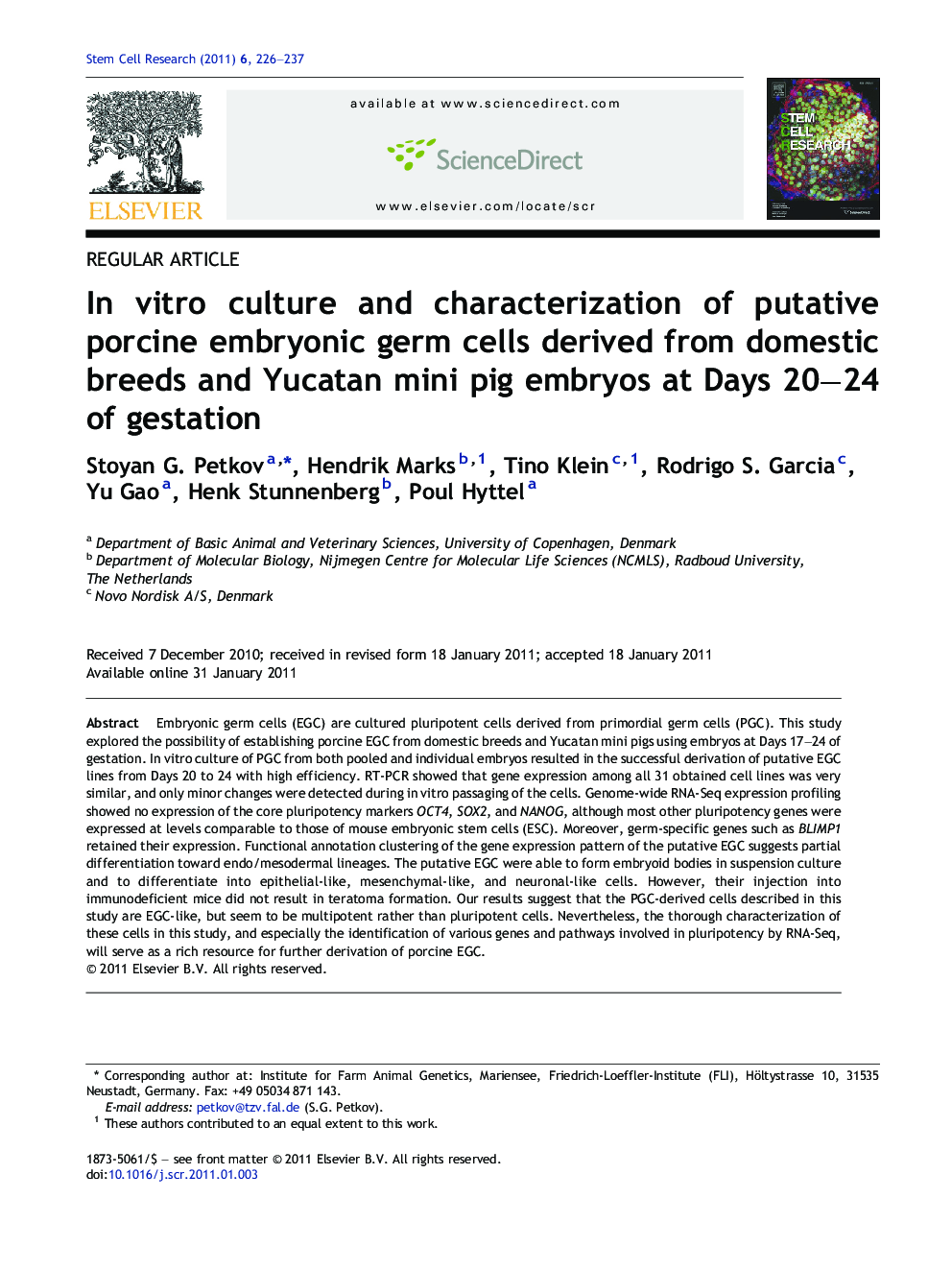 In vitro culture and characterization of putative porcine embryonic germ cells derived from domestic breeds and Yucatan mini pig embryos at Days 20-24 of gestation