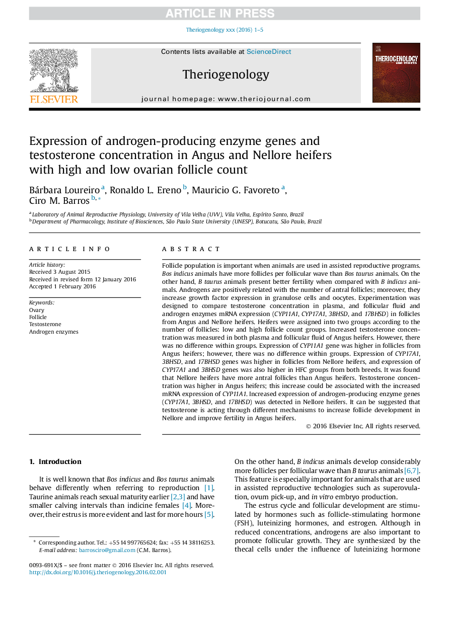 Expression of androgen-producing enzyme genes and testosterone concentration in Angus and Nellore heifers with high and low ovarian follicle count