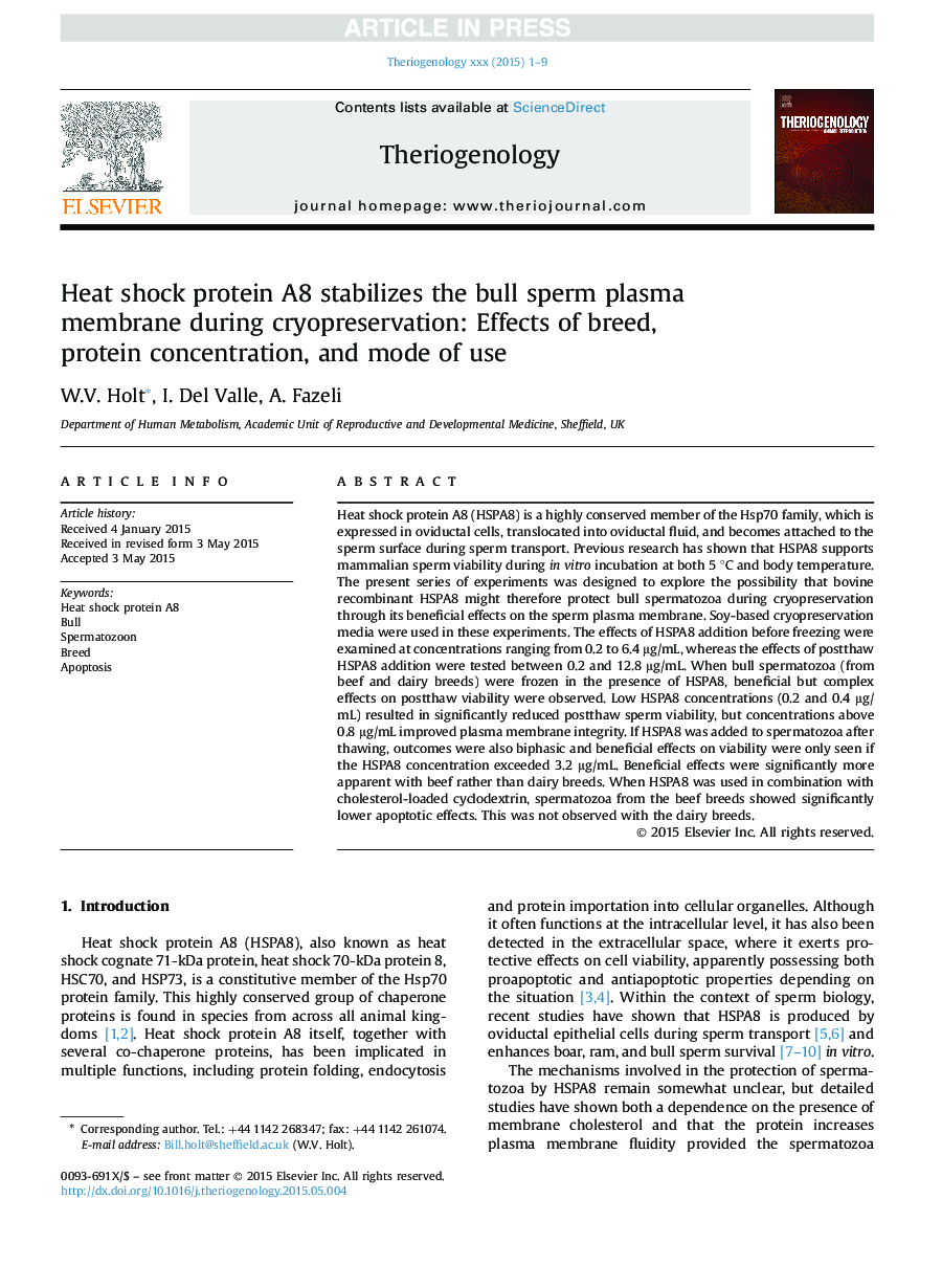 Heat shock protein A8 stabilizes the bull sperm plasma membrane during cryopreservation: Effects of breed, protein concentration, and mode of use