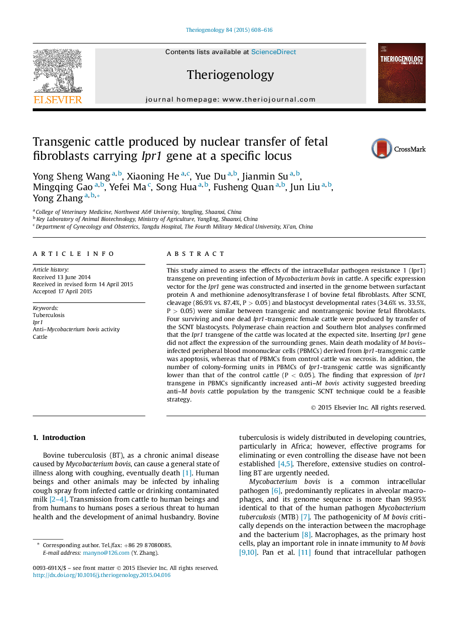 Transgenic cattle produced by nuclear transfer of fetal fibroblasts carrying Ipr1 gene at a specific locus