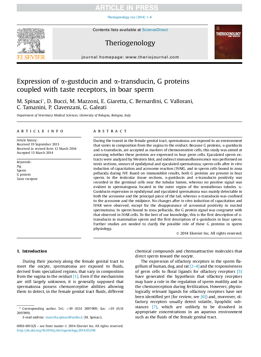 Expression of Î±-gustducin and Î±-transducin, G proteins coupled with taste receptors, in boar sperm