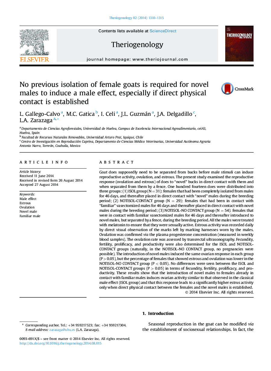 No previous isolation of female goats is required for novel males to induce a male effect, especially if direct physical contact is established