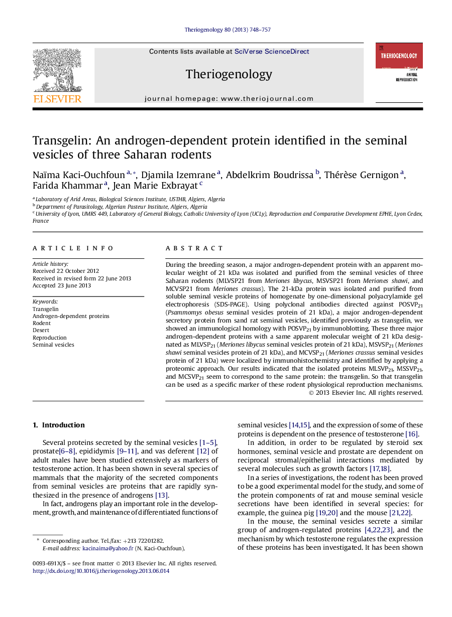 Transgelin: An androgen-dependent protein identified in the seminal vesicles of three Saharan rodents