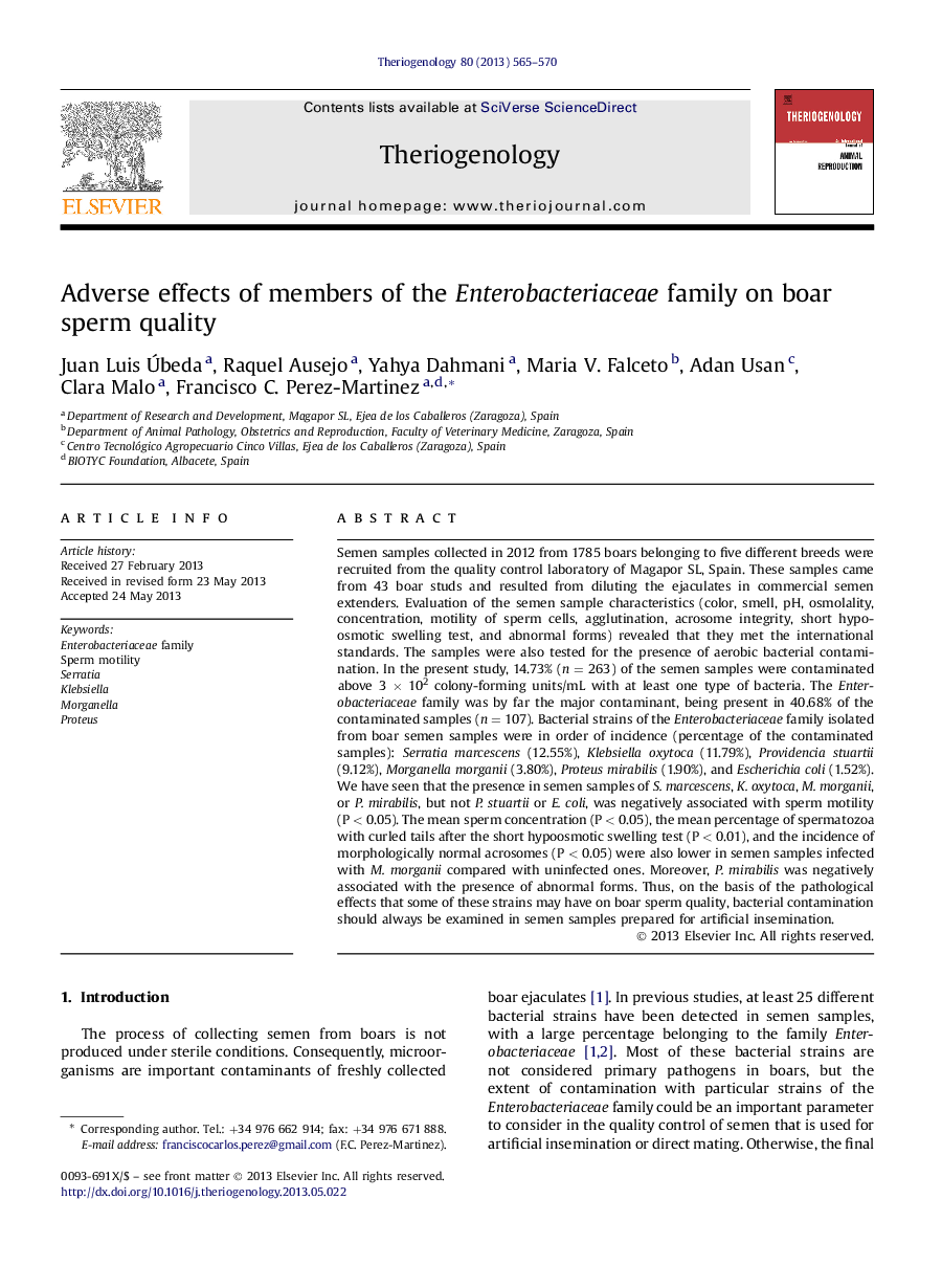 Adverse effects of members of the Enterobacteriaceae family on boar sperm quality