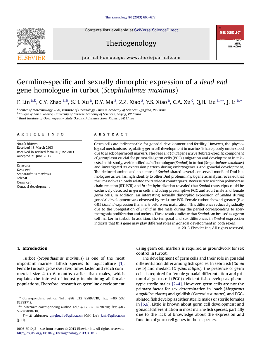 Germline-specific and sexually dimorphic expression of a dead end gene homologue in turbot (Scophthalmus maximus)