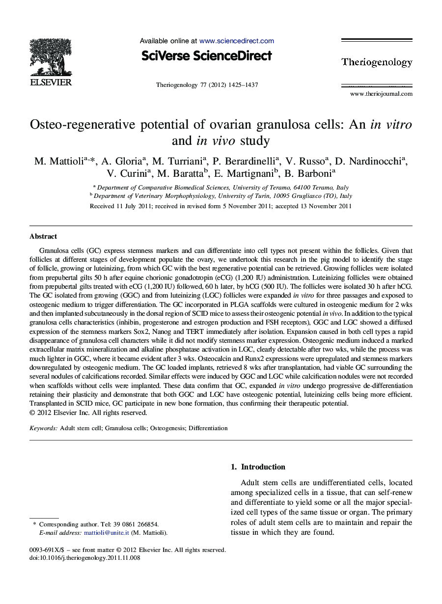 Osteo-regenerative potential of ovarian granulosa cells: An in vitro and in vivo study