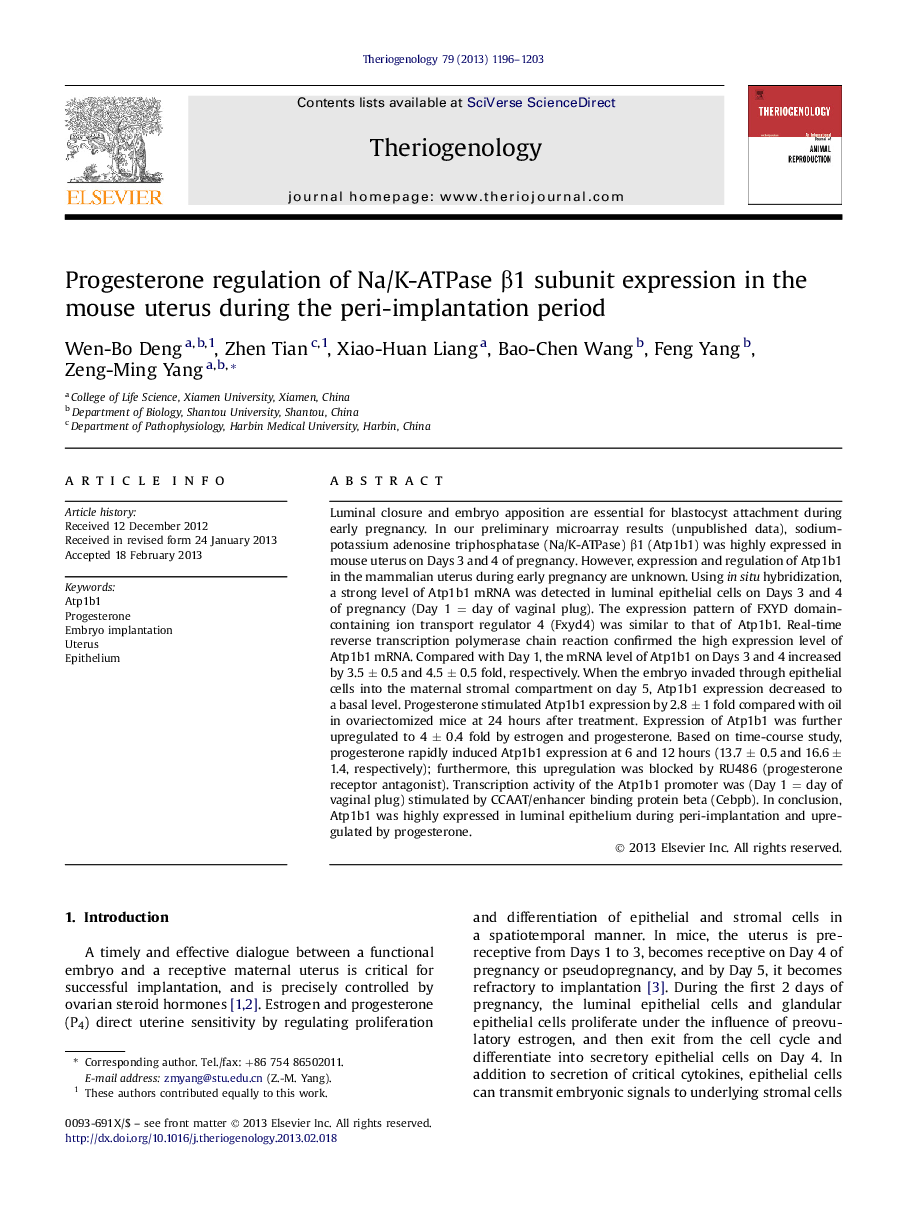 Progesterone regulation of Na/K-ATPase Î²1 subunit expression in the mouse uterus during the peri-implantation period