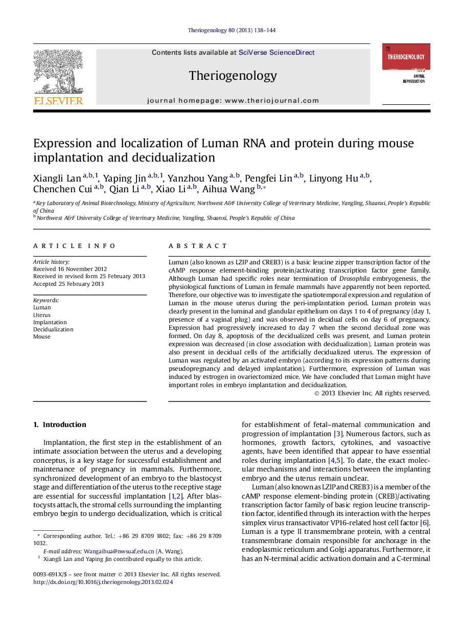 Expression and localization of Luman RNA and protein during mouse implantation and decidualization