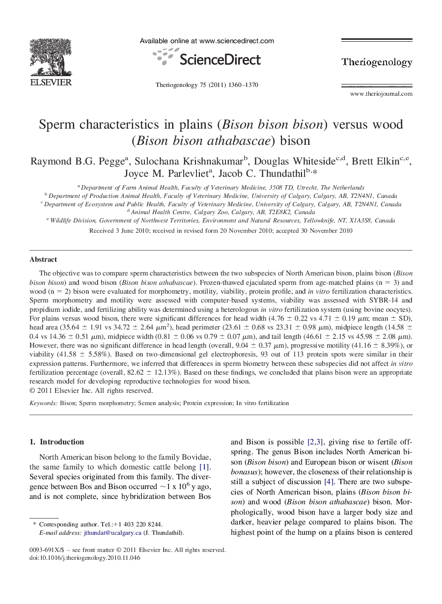 Sperm characteristics in plains (Bison bison bison) versus wood (Bison bison athabascae) bison