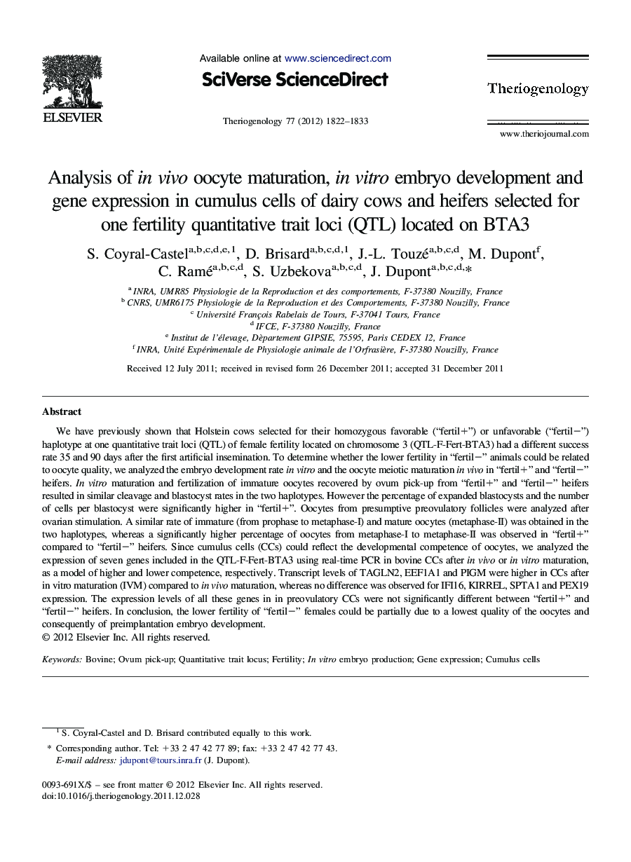 Analysis of in vivo oocyte maturation, in vitro embryo development and gene expression in cumulus cells of dairy cows and heifers selected for one fertility quantitative trait loci (QTL) located on BTA3