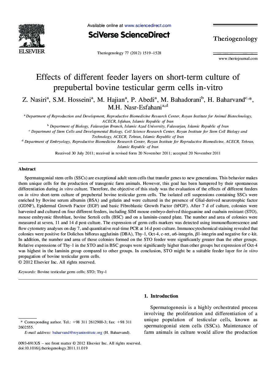 Effects of different feeder layers on short-term culture of prepubertal bovine testicular germ cells In-vitro