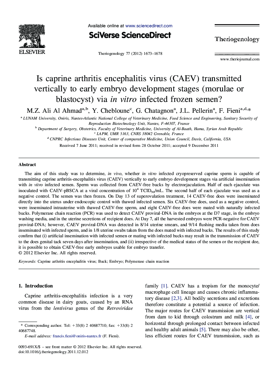 Is caprine arthritis encephalitis virus (CAEV) transmitted vertically to early embryo development stages (morulae or blastocyst) via in vitro infected frozen semen?