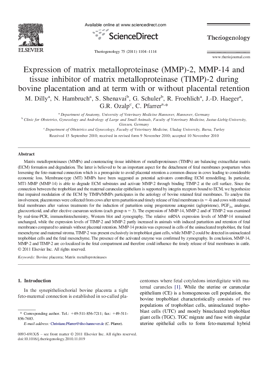 Expression of matrix metalloproteinase (MMP)-2, MMP-14 and tissue inhibitor of matrix metalloproteinase (TIMP)-2 during bovine placentation and at term with or without placental retention