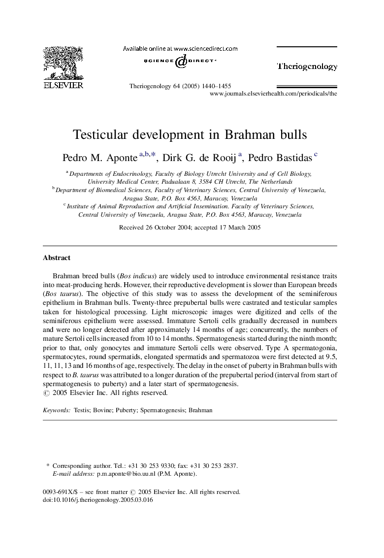 Testicular development in Brahman bulls