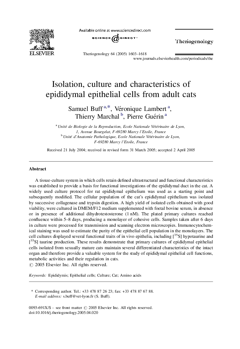 Isolation, culture and characteristics of epididymal epithelial cells from adult cats