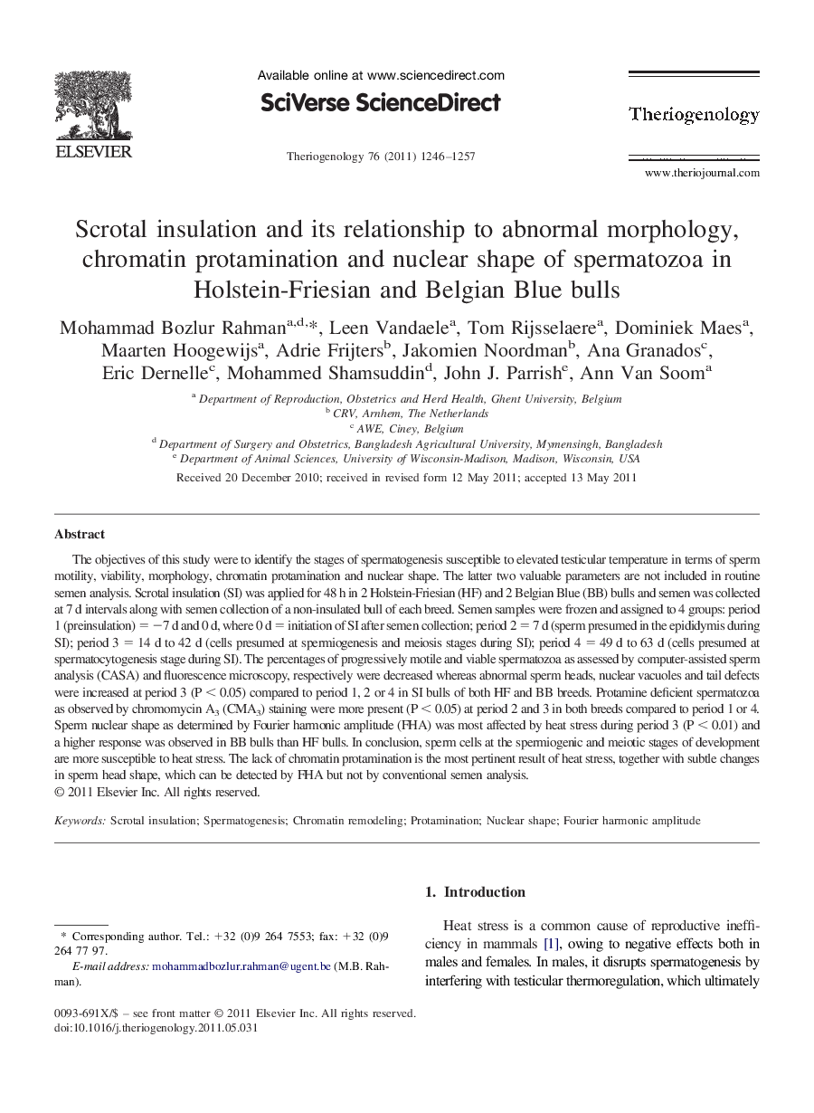 Scrotal insulation and its relationship to abnormal morphology, chromatin protamination and nuclear shape of spermatozoa in Holstein-Friesian and Belgian Blue bulls