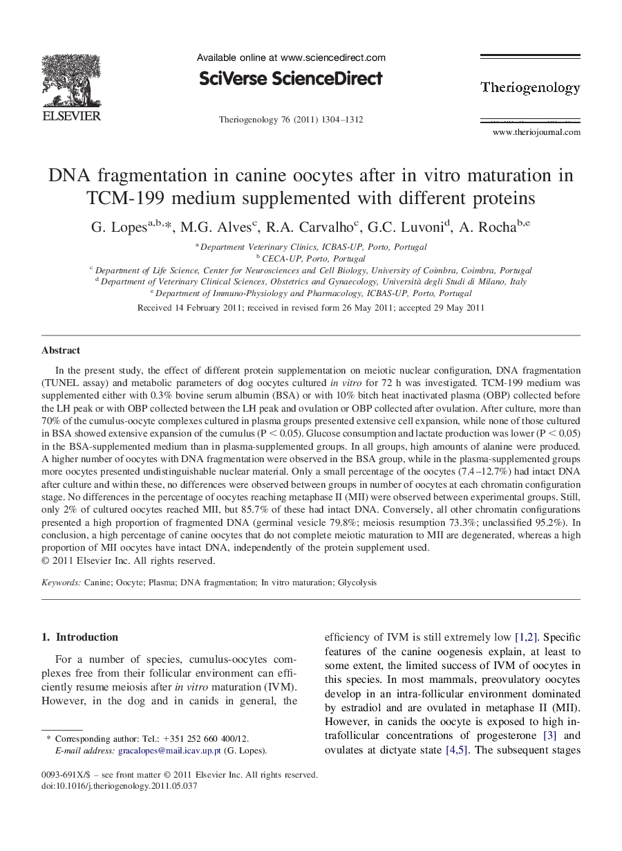 DNA fragmentation in canine oocytes after in vitro maturation in TCM-199 medium supplemented with different proteins