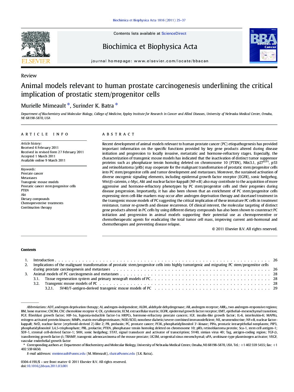 Animal models relevant to human prostate carcinogenesis underlining the critical implication of prostatic stem/progenitor cells