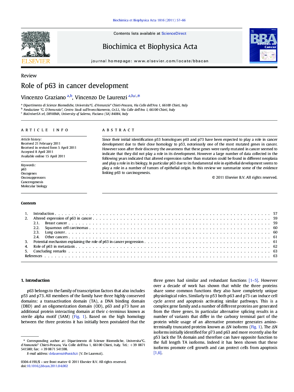 Role of p63 in cancer development