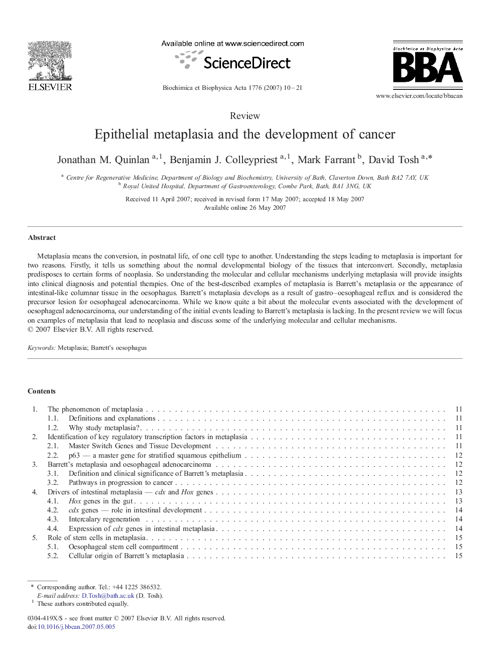 Epithelial metaplasia and the development of cancer