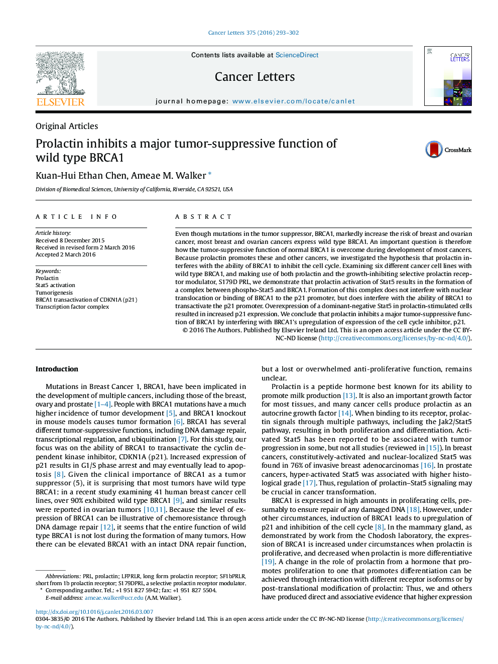 Prolactin inhibits a major tumor-suppressive function of wild type BRCA1