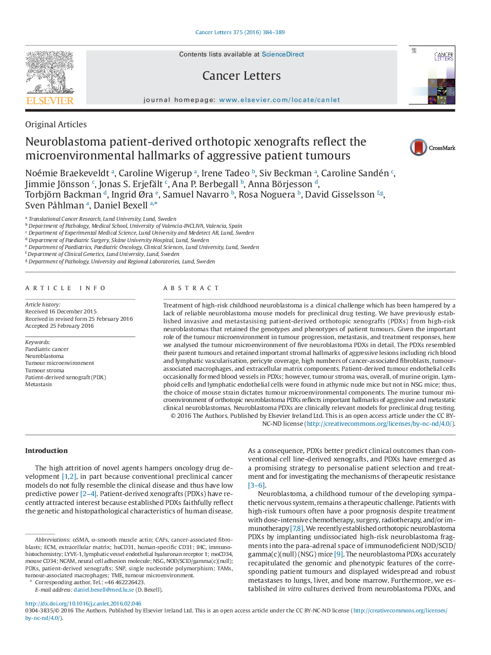 Neuroblastoma patient-derived orthotopic xenografts reflect the microenvironmental hallmarks of aggressive patient tumours