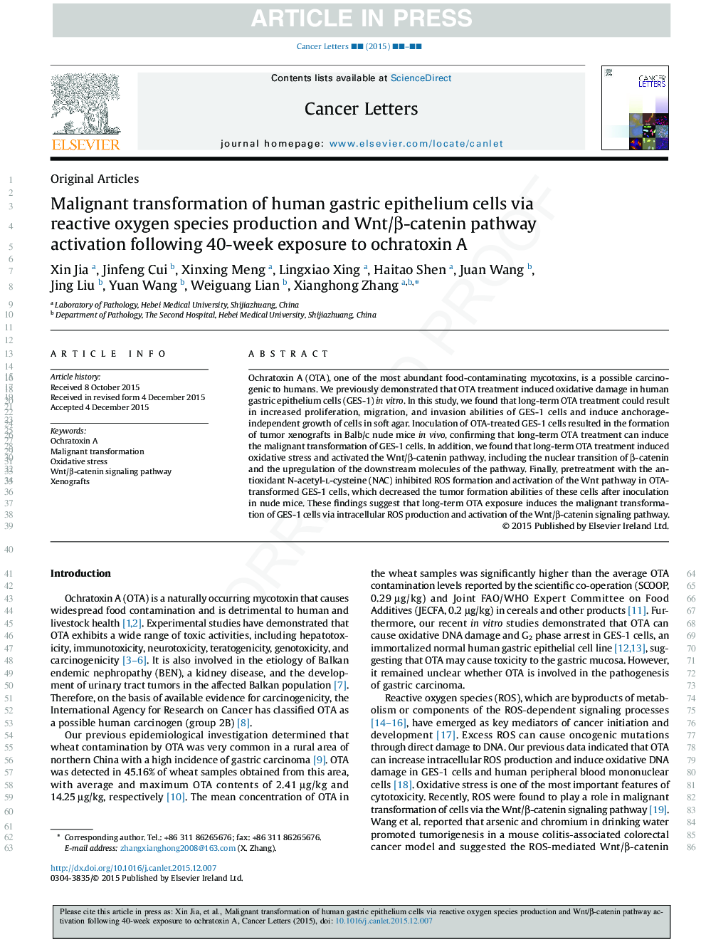 Malignant transformation of human gastric epithelium cells via reactive oxygen species production and Wnt/Î²-catenin pathway activation following 40-week exposure to ochratoxin A