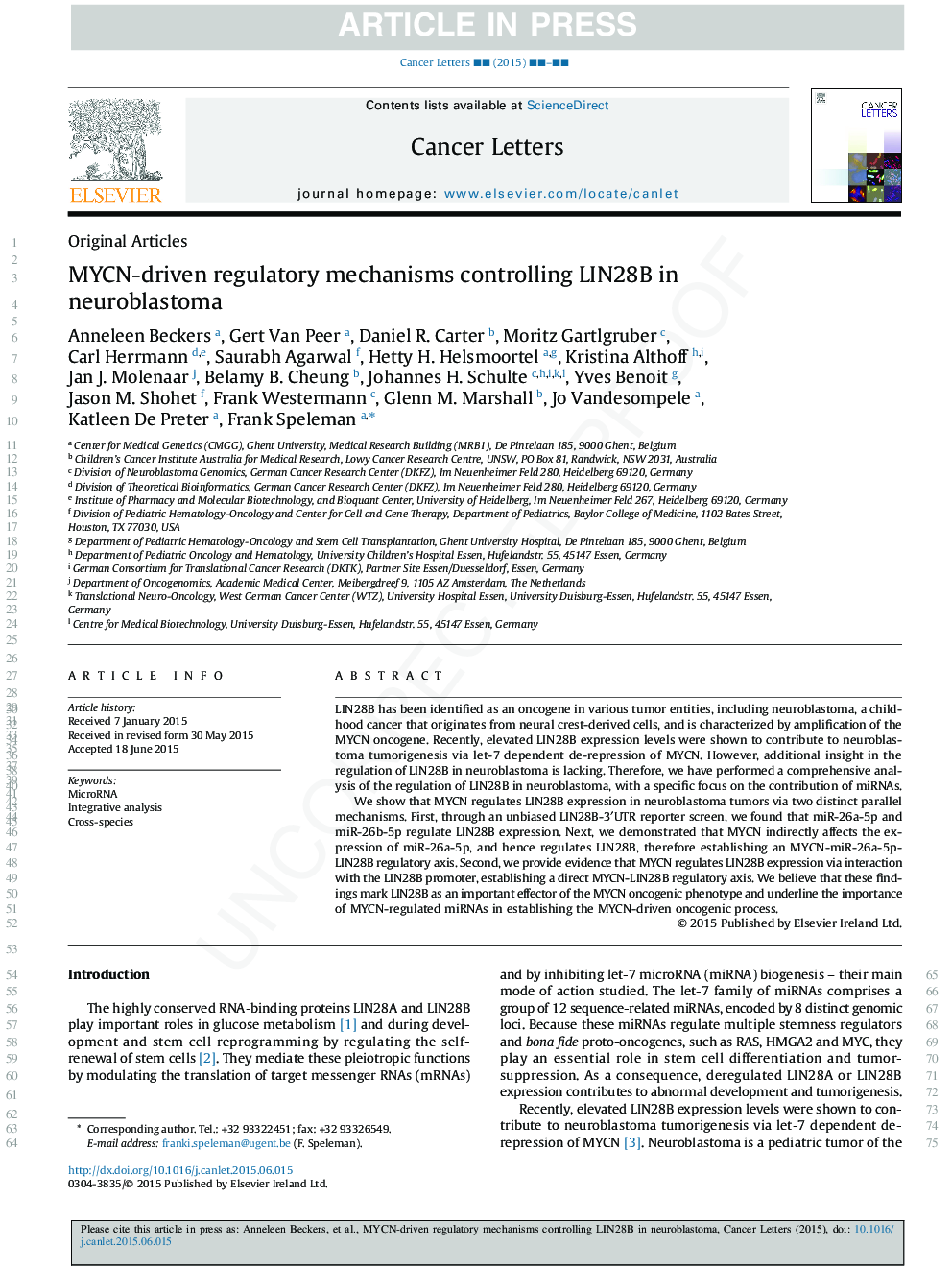 MYCN-driven regulatory mechanisms controlling LIN28B in neuroblastoma