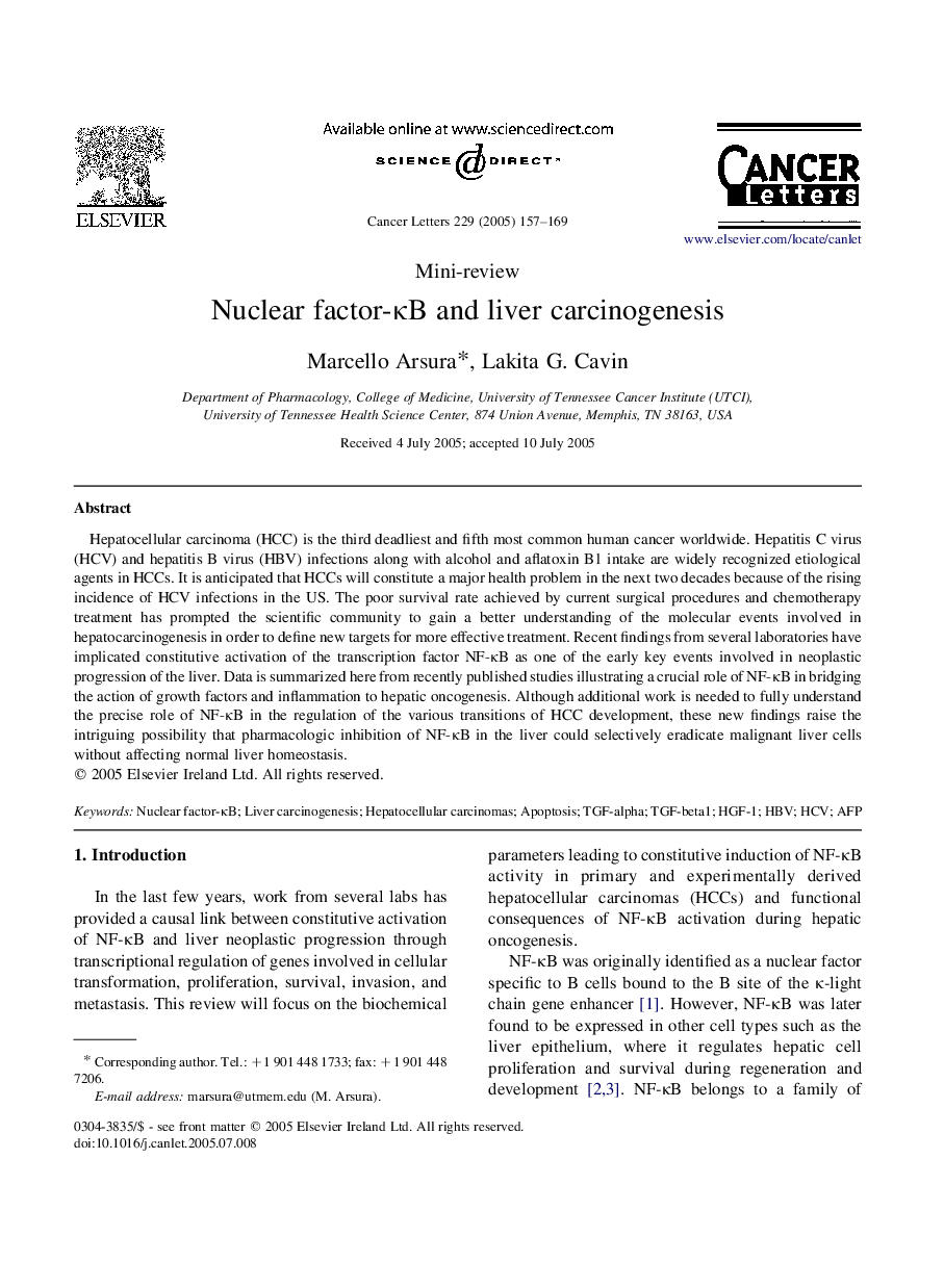 Nuclear factor-ÎºB and liver carcinogenesis