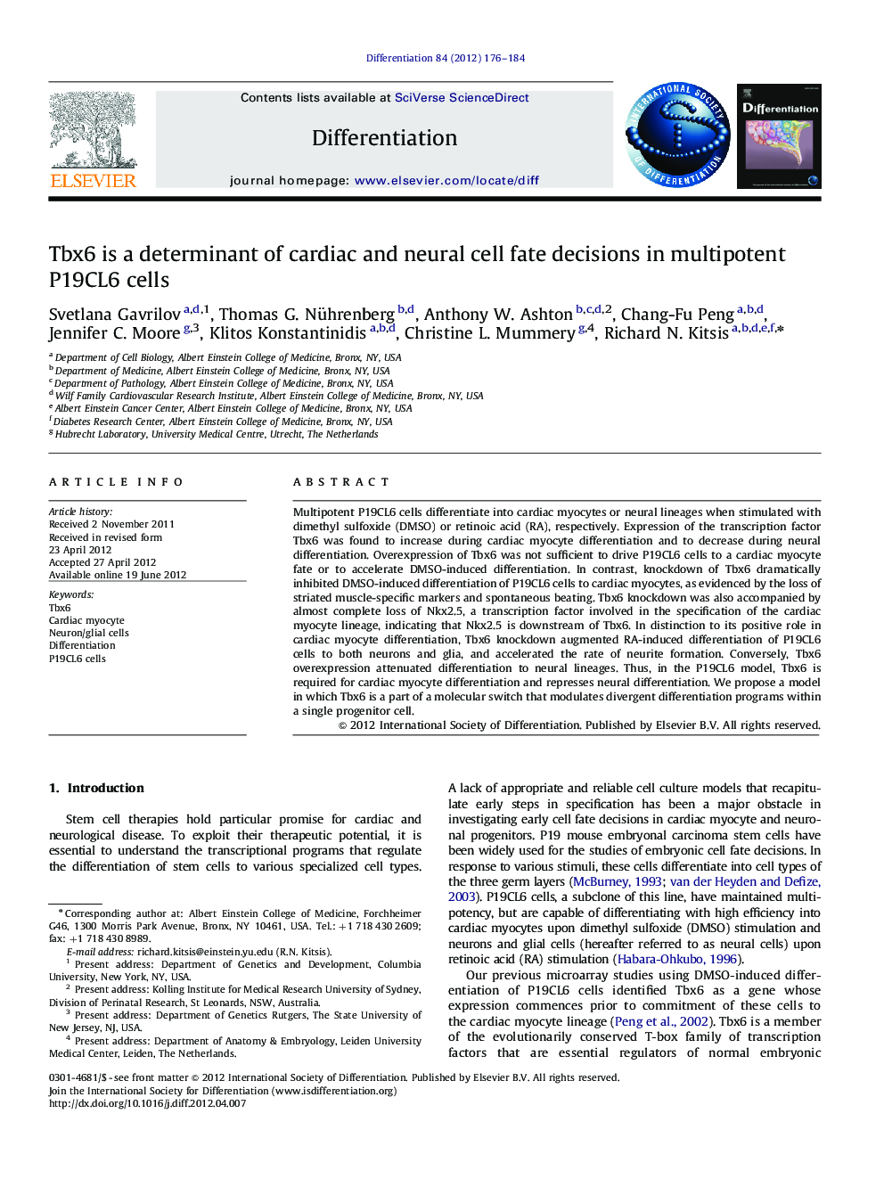 Tbx6 is a determinant of cardiac and neural cell fate decisions in multipotent P19CL6 cells