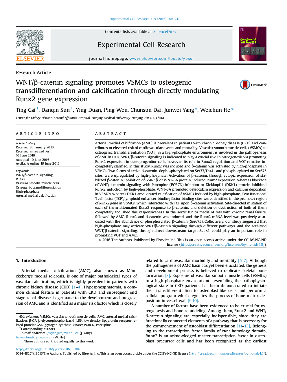 WNT/Î²-catenin signaling promotes VSMCs to osteogenic transdifferentiation and calcification through directly modulating Runx2 gene expression
