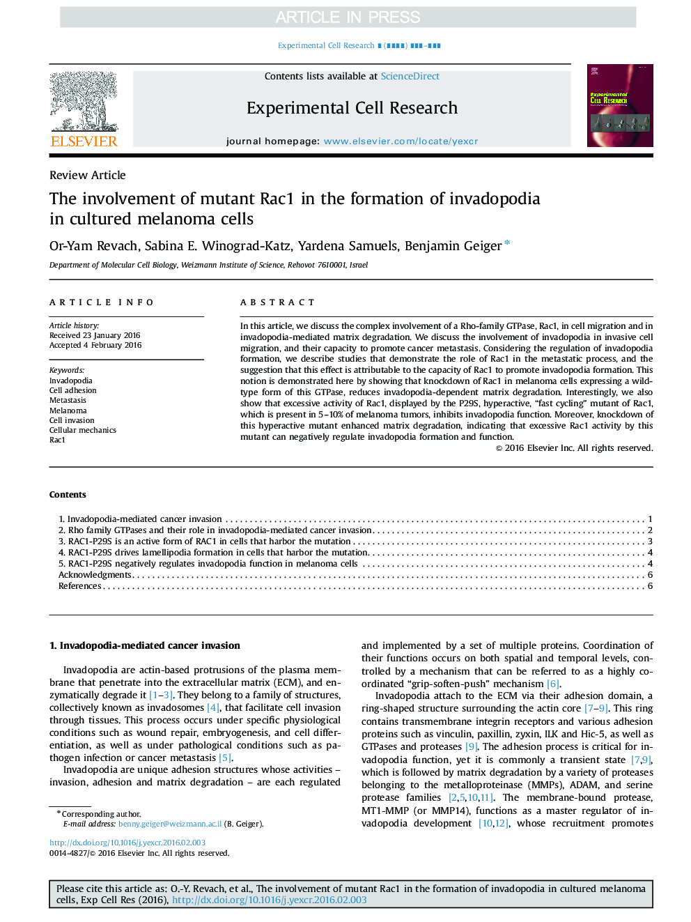 The involvement of mutant Rac1 in the formation of invadopodia in cultured melanoma cells