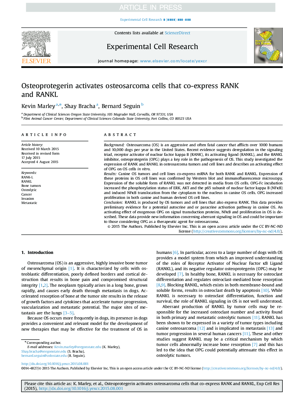 Osteoprotegerin activates osteosarcoma cells that co-express RANK and RANKL