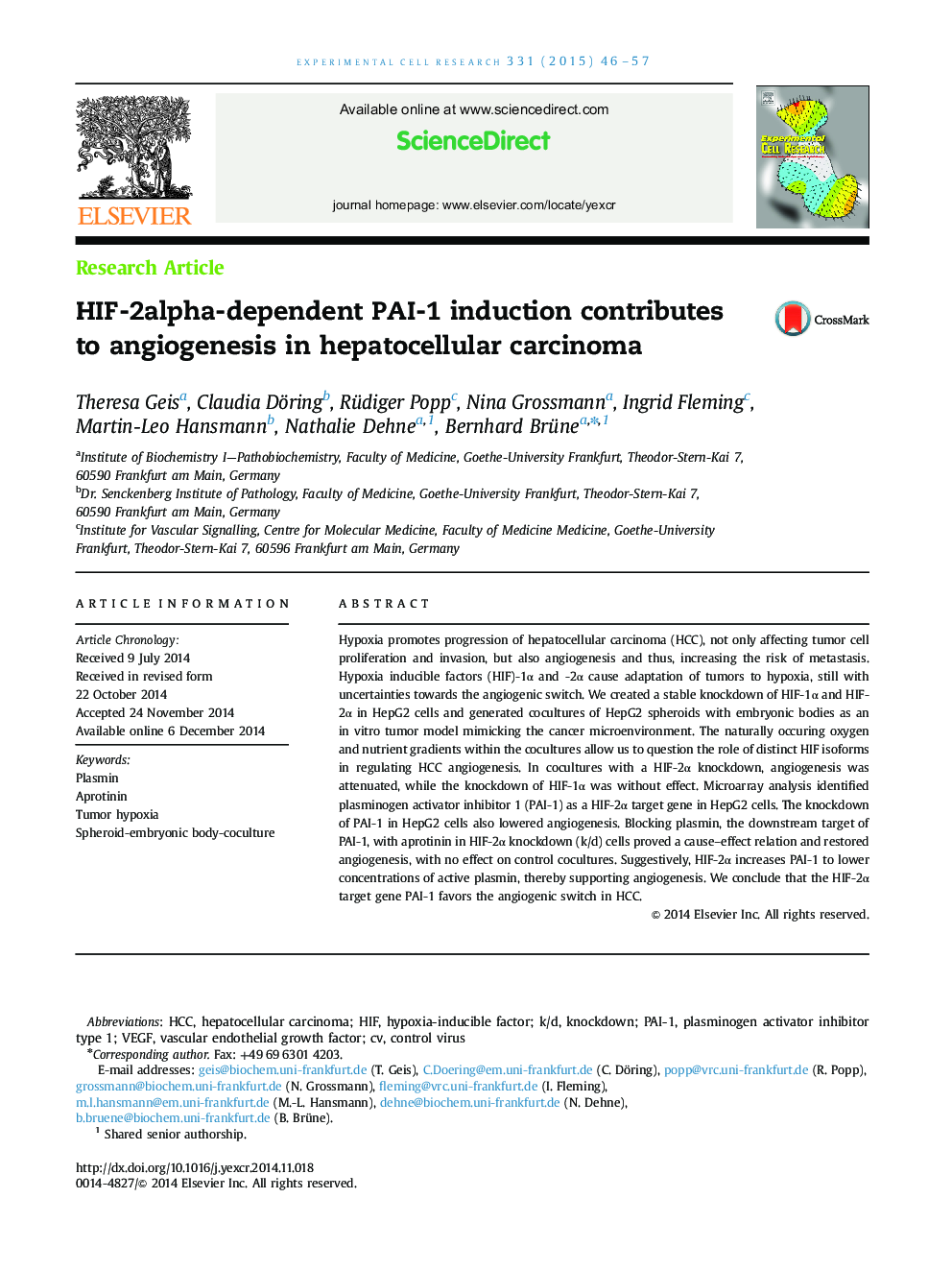 HIF-2alpha-dependent PAI-1 induction contributes to angiogenesis in hepatocellular carcinoma