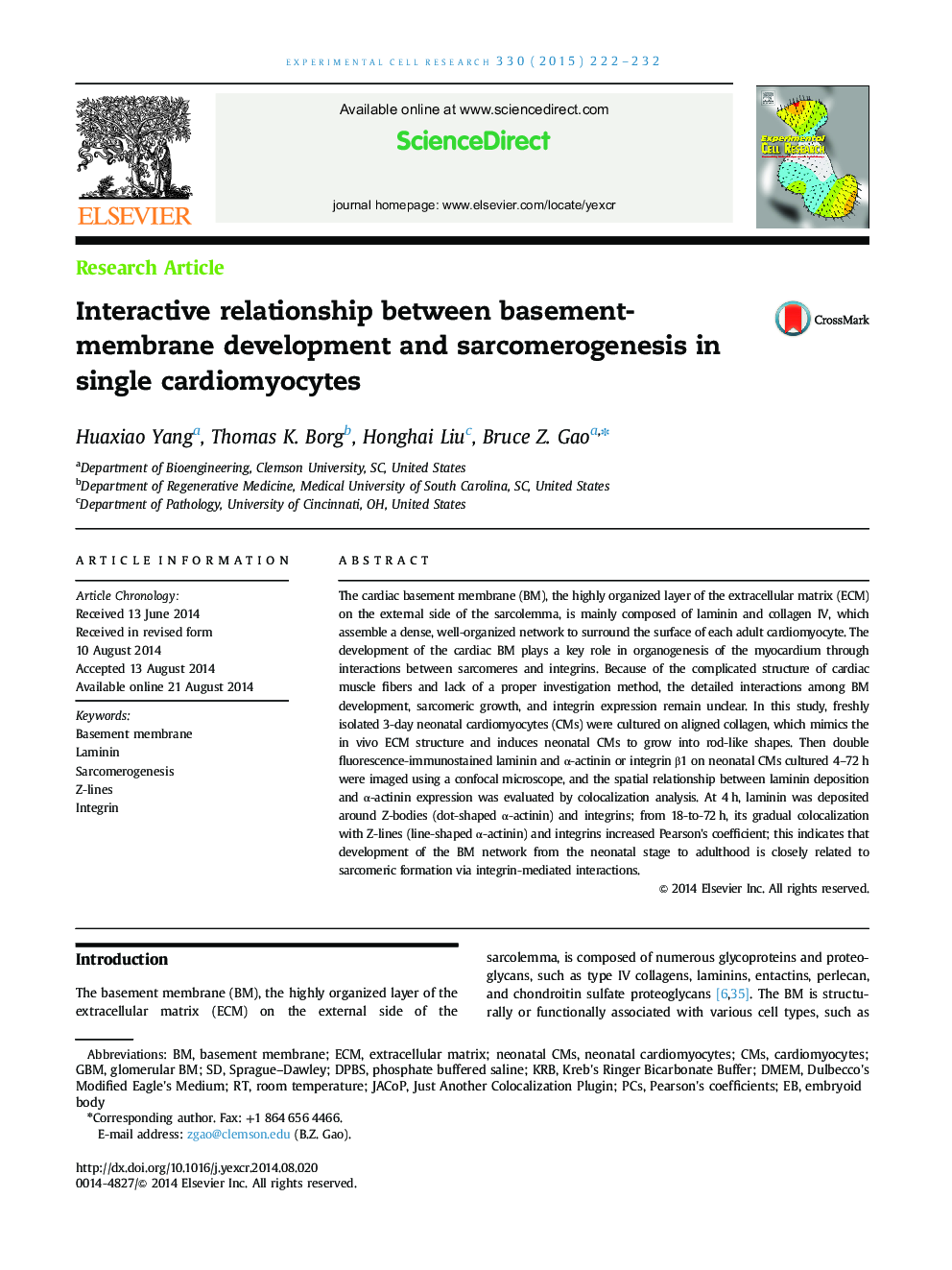 Interactive relationship between basement-membrane development and sarcomerogenesis in single cardiomyocytes