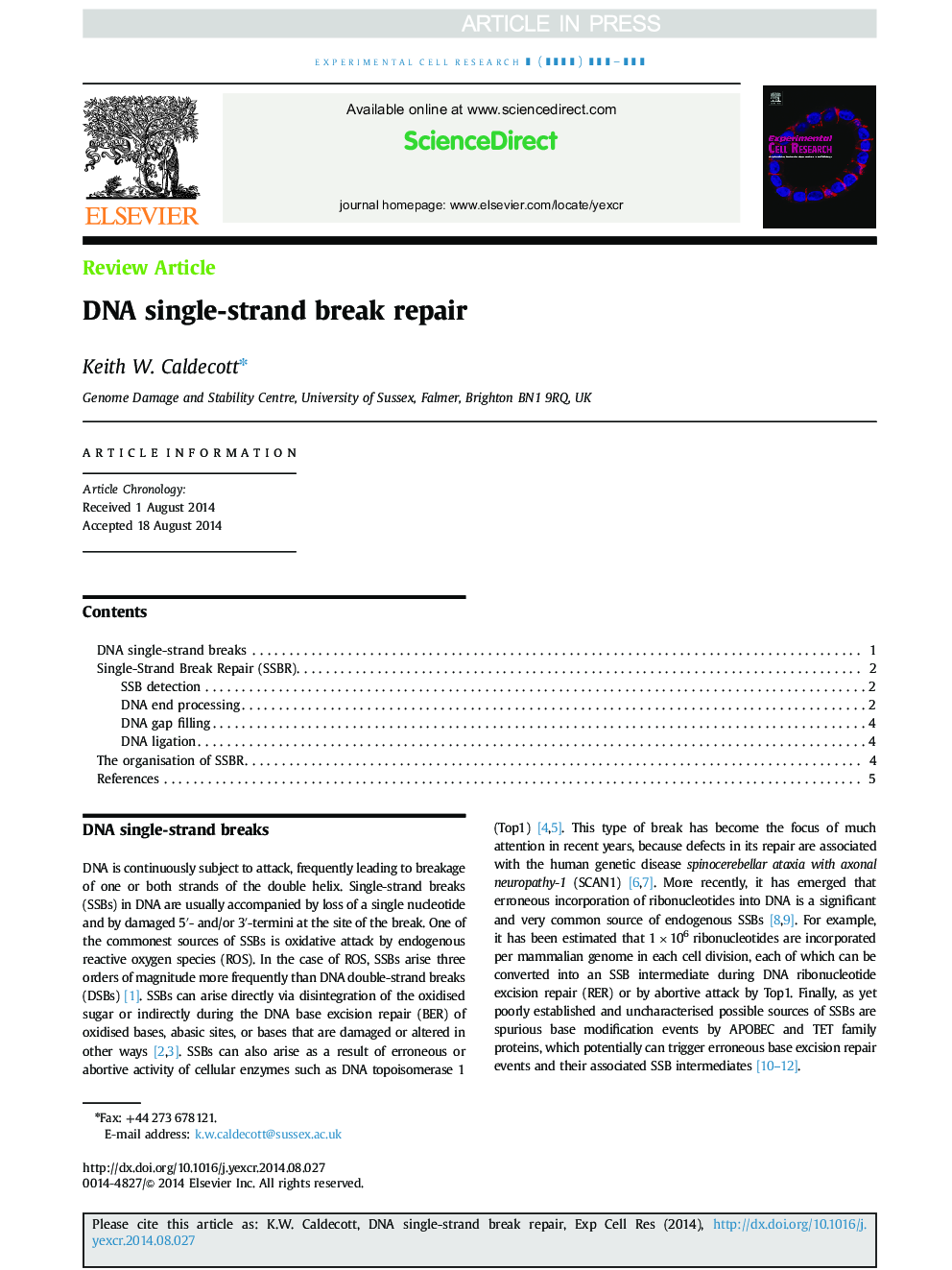 DNA single-strand break repair
